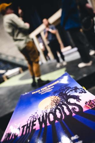 The cover of Into the Woods is in focus while the stage behind it is blurred.